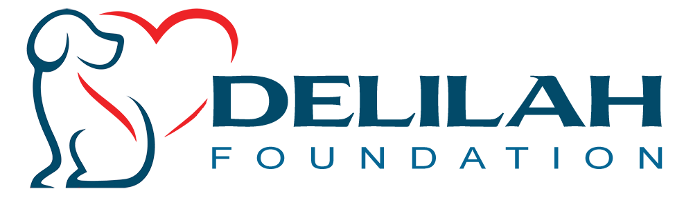 Foundation Logo